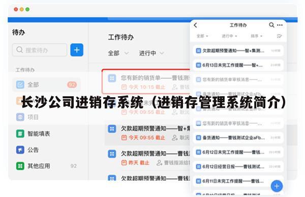 长沙公司进销存系统（进销存管理系统简介）