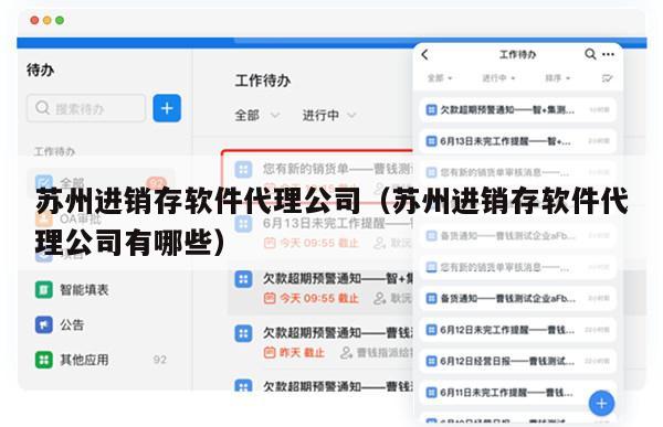 苏州进销存软件代理公司（苏州进销存软件代理公司有哪些）