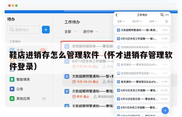 鞋店进销存怎么管理软件（怀才进销存管理软件登录）