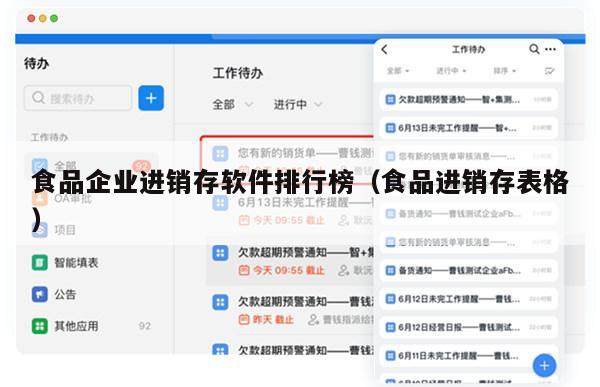食品企业进销存软件排行榜（食品进销存表格）