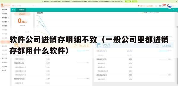 软件公司进销存明细不致（一般公司里都进销存都用什么软件）