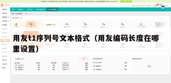 用友t1序列号文本格式（用友编码长度在哪里设置）