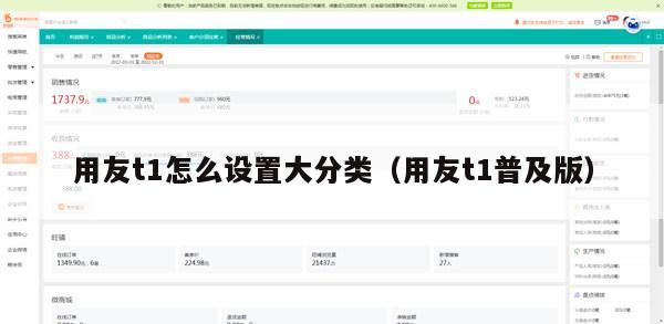用友t1怎么设置大分类（用友t1普及版）