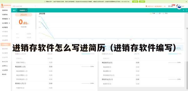 进销存软件怎么写进简历（进销存软件编写）