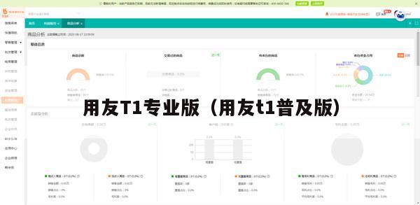 用友T1专业版（用友t1普及版）