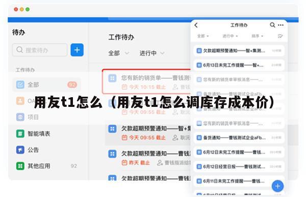 用友t1怎么（用友t1怎么调库存成本价）