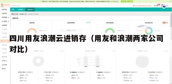 四川用友浪潮云进销存（用友和浪潮两家公司对比）