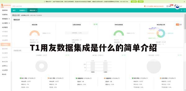 T1用友数据集成是什么的简单介绍