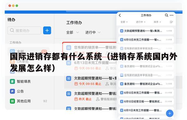 国际进销存都有什么系统（进销存系统国内外发展怎么样）