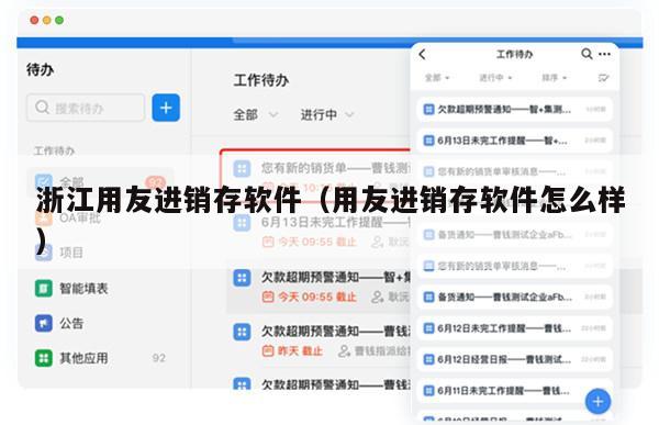 浙江用友进销存软件（用友进销存软件怎么样）