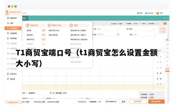 T1商贸宝端口号（t1商贸宝怎么设置金额大小写）