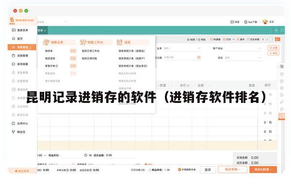 昆明记录进销存的软件（进销存软件排名）