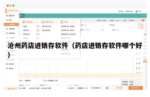 沧州药店进销存软件（药店进销存软件哪个好）