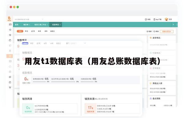 用友t1数据库表（用友总账数据库表）