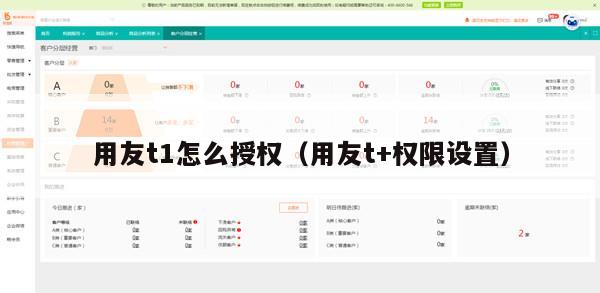 用友t1怎么授权（用友t+权限设置）