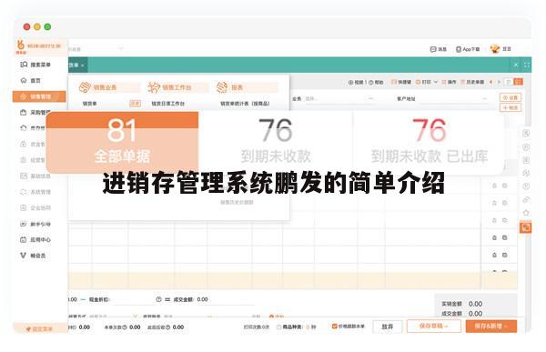 进销存管理系统鹏发的简单介绍