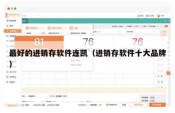 最好的进销存软件连凯（进销存软件十大品牌）