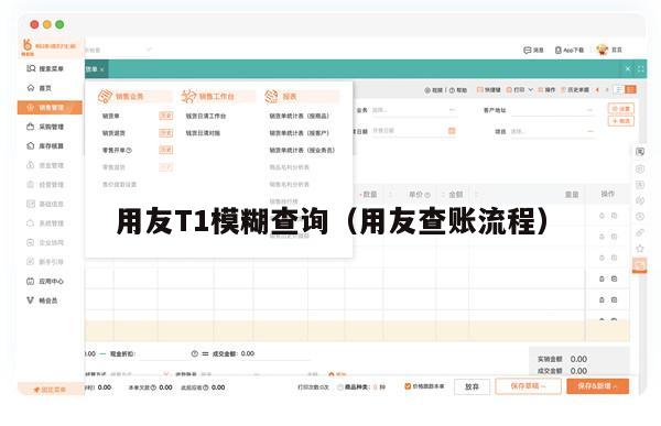 用友T1模糊查询（用友查账流程）