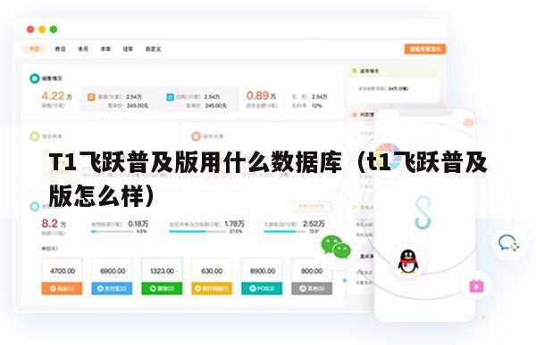 T1飞跃普及版用什么数据库（t1飞跃普及版怎么样）