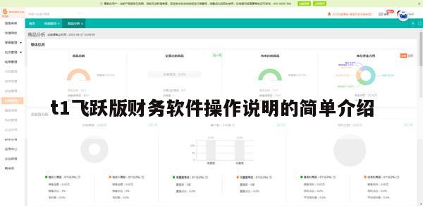 t1飞跃版财务软件操作说明的简单介绍