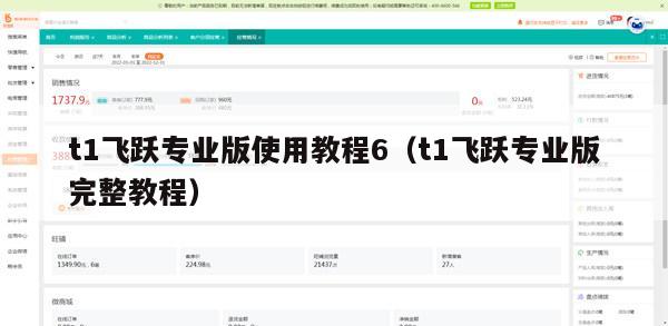 t1飞跃专业版使用教程6（t1飞跃专业版完整教程）