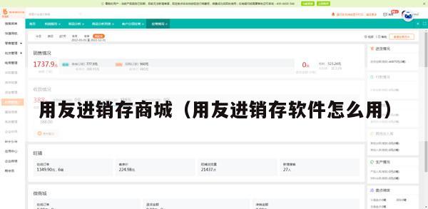 用友进销存商城（用友进销存软件怎么用）