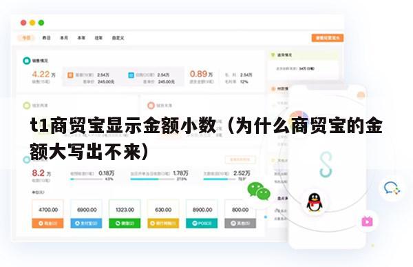 t1商贸宝显示金额小数（为什么商贸宝的金额大写出不来）