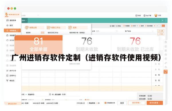 广州进销存软件定制（进销存软件使用视频）