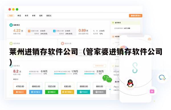 莱州进销存软件公司（管家婆进销存软件公司）