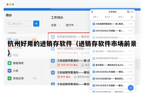 杭州好用的进销存软件（进销存软件市场前景）