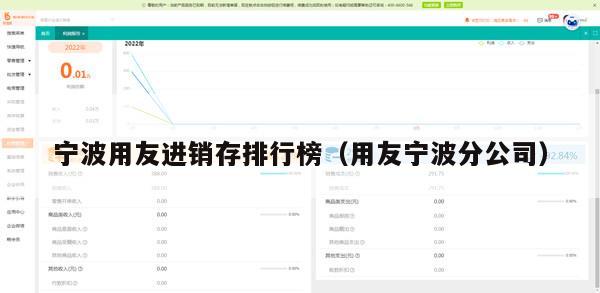 宁波用友进销存排行榜（用友宁波分公司）