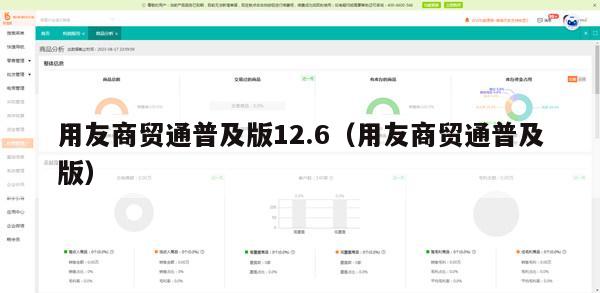 用友商贸通普及版12.6（用友商贸通普及版）