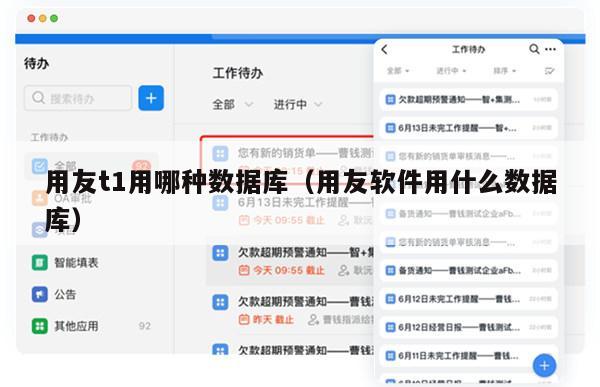 用友t1用哪种数据库（用友软件用什么数据库）