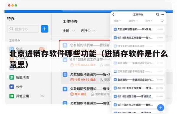 北京进销存软件哪些功能（进销存软件是什么意思）