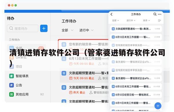 清镇进销存软件公司（管家婆进销存软件公司）