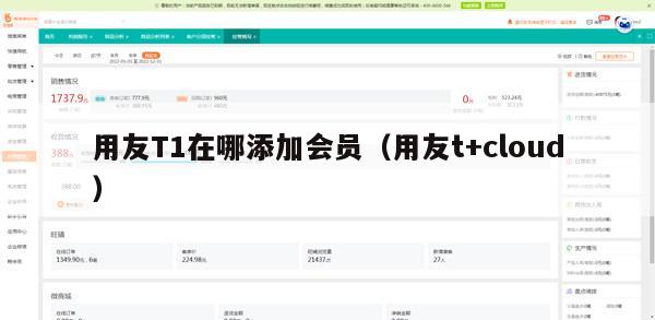 用友T1在哪添加会员（用友t+cloud）