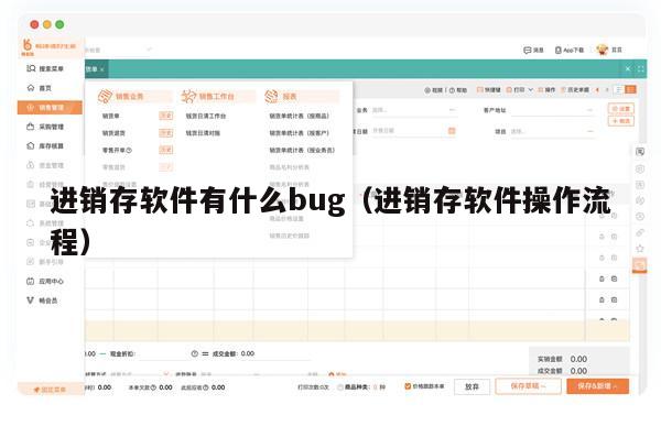 进销存软件有什么bug（进销存软件操作流程）