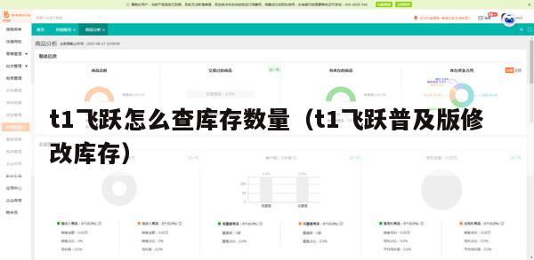 t1飞跃怎么查库存数量（t1飞跃普及版修改库存）