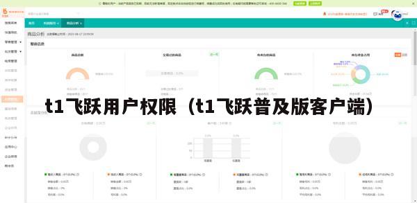 t1飞跃用户权限（t1飞跃普及版客户端）