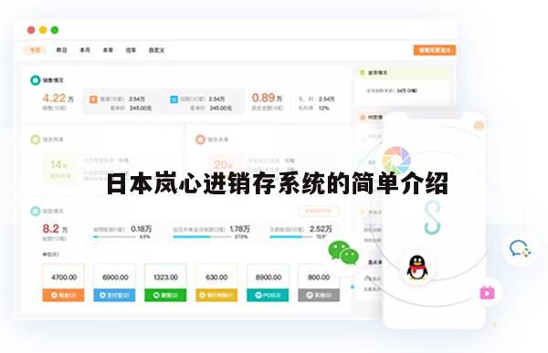 日本岚心进销存系统的简单介绍
