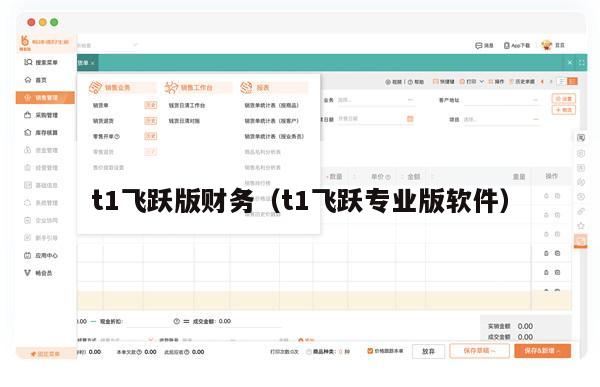 t1飞跃版财务（t1飞跃专业版软件）