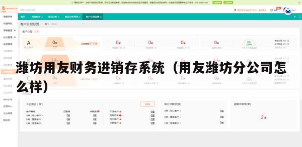 潍坊用友财务进销存系统（用友潍坊分公司怎么样）