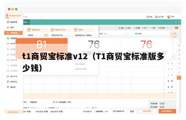 t1商贸宝标准v12（T1商贸宝标准版多少钱）