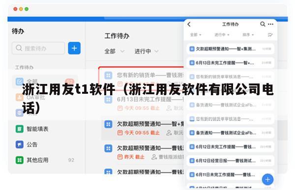 浙江用友t1软件（浙江用友软件有限公司电话）
