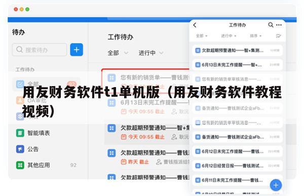 用友财务软件t1单机版（用友财务软件教程视频）