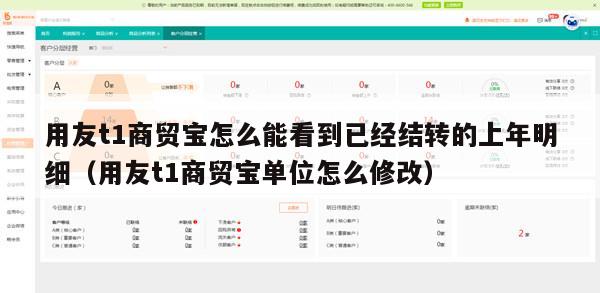 用友t1商贸宝怎么能看到已经结转的上年明细（用友t1商贸宝单位怎么修改）