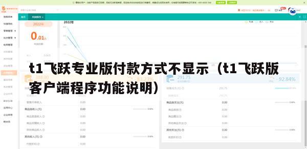 t1飞跃专业版付款方式不显示（t1飞跃版客户端程序功能说明）