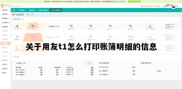 关于用友t1怎么打印账簿明细的信息