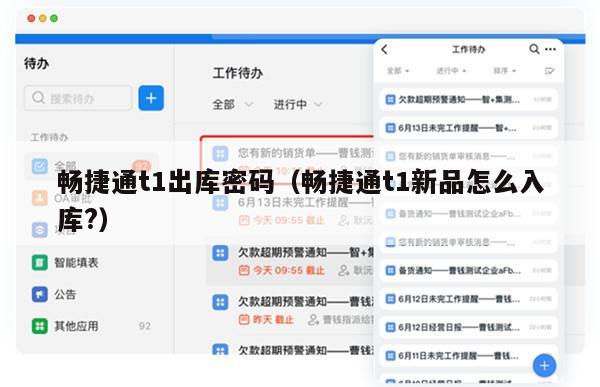 畅捷通t1出库密码（畅捷通t1新品怎么入库?）