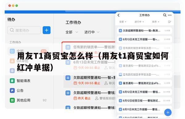 用友T1商贸宝怎么样（用友t1商贸宝如何红冲单据）